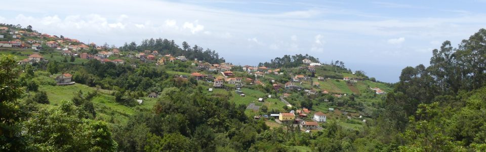 P2500588